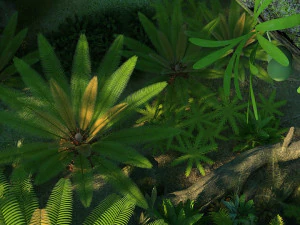 Тропічний ліс 3D Модель