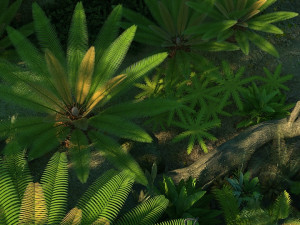 Rainforest Model 3D