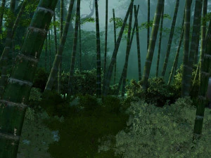 Panda da floresta de bambu Modelo 3D