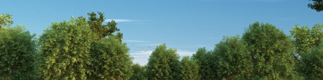 Swamp Modèle 3D .c4d .max .obj .3ds .fbx .stl .blend 