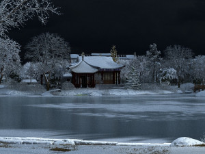 Snow scene 3D 模型