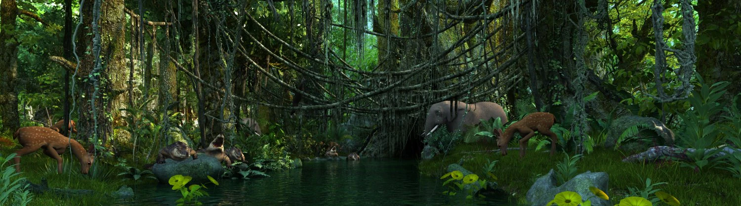 Rainforest 3D Model .c4d .max .obj .3ds .fbx .stl .blend