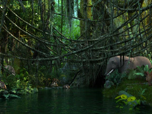 selva tropical Modelo 3D