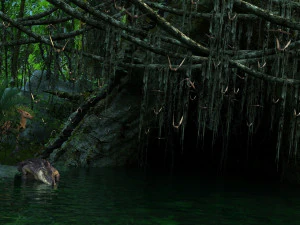 Rainforest 3D Model