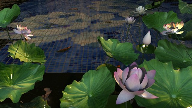 Lotus Pond Model 3D .c4d .max .obj .3ds .fbx .stl .blend