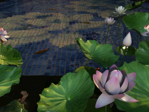 Stagno di loto Modello 3D