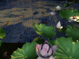 Lotus Pond Model 3D