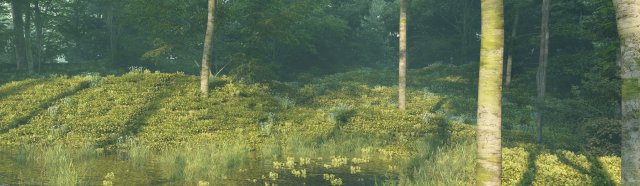 Mountain forest 3D मॉडल .c4d .max .obj .3ds .fbx .stl .blend