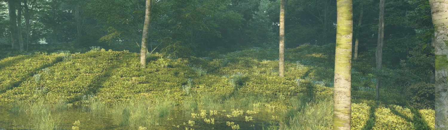 Mountain forest 3D Model .c4d .max .obj .3ds .fbx .stl .blend 