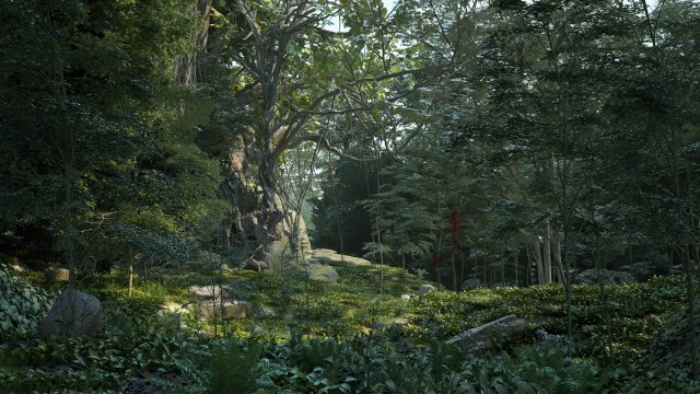 Rainforest 3D 모델 .c4d .max .obj .3ds .fbx .stl .blend 