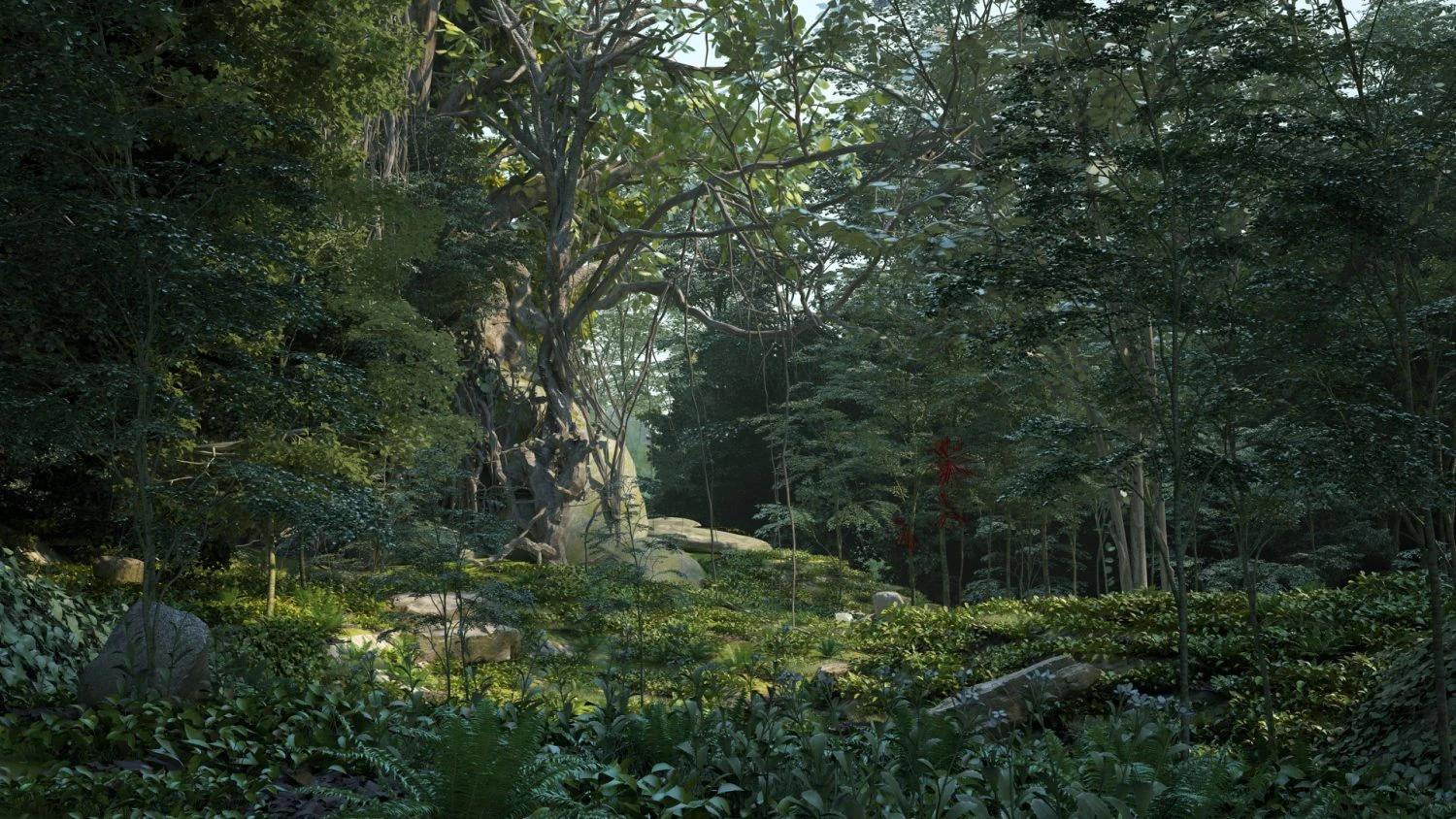 Rainforest 3D Model .c4d .max .obj .3ds .fbx .stl .blend 