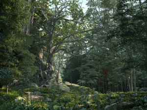 Rainforest 3D 모델