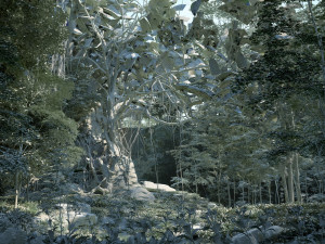 Rainforest 3D 모델