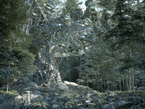 Rainforest 3D Model