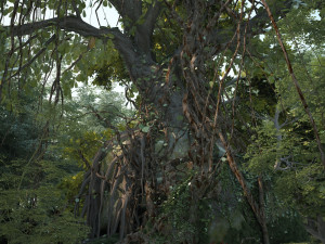 Rainforest 3D 모델