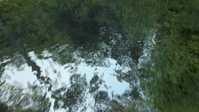 Rainforest 3D Модель .c4d .max .obj .3ds .fbx .stl .blend 
