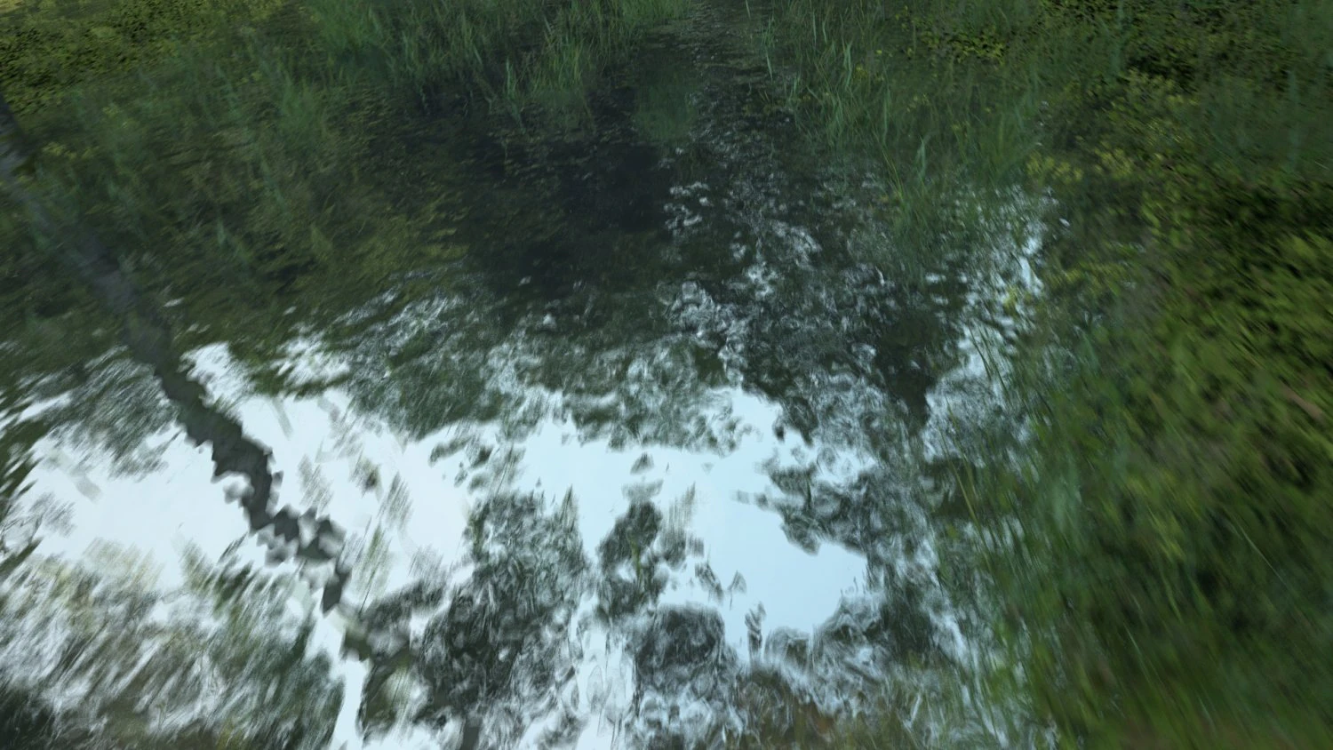 Rainforest 3D Model .c4d .max .obj .3ds .fbx .stl .blend 