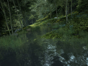Rainforest 3D Модель