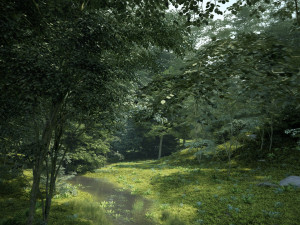 Rainforest 3D Модель
