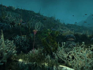 Seabed 3D Model