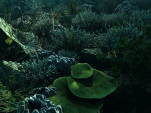 Seabed 3D Model
