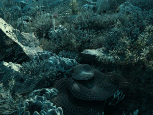 Seabed 3D Model
