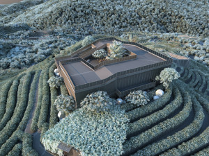 Tea shop 3D Модель