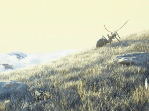 Mountain 3D Model