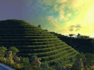 Trapezoidal tea field 3D Model