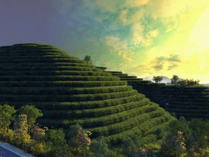 台形の茶畑 3Dモデル