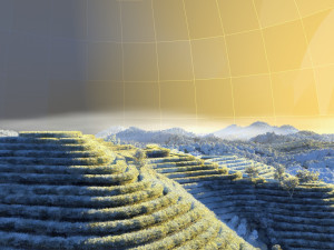 Trapezoidal tea field 3D Model