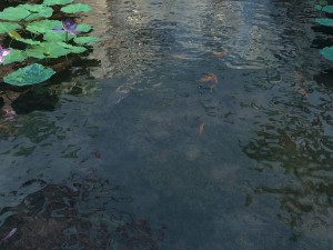 Pond 3D मॉडल