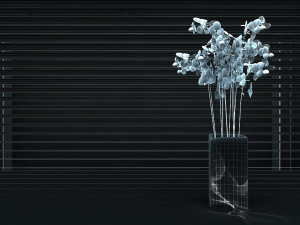 Shutters 3D Model