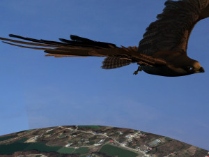 Eagle 3Dモデル