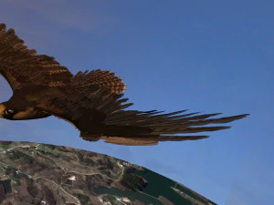 Eagle 3D Model