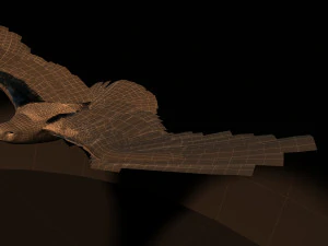 Eagle 3D Model