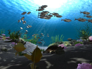 The underwater world 3D Model