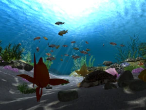 The underwater world 3D Model