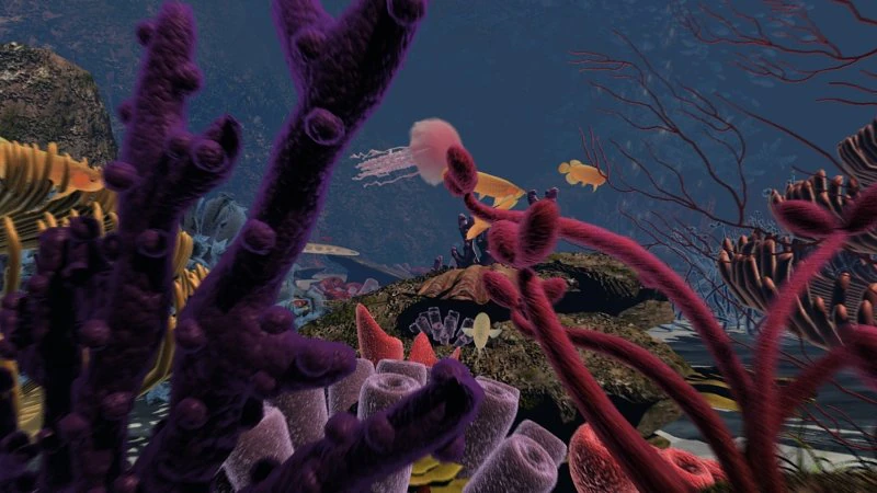 Seabed 3D Model .c4d .max .obj .3ds .fbx .stl .blend 