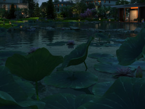 Lotus Pond Model 3D