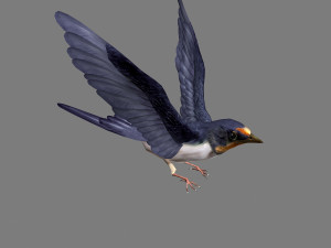Swallow 3D Model