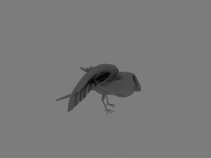 Swallow Modelo 3D