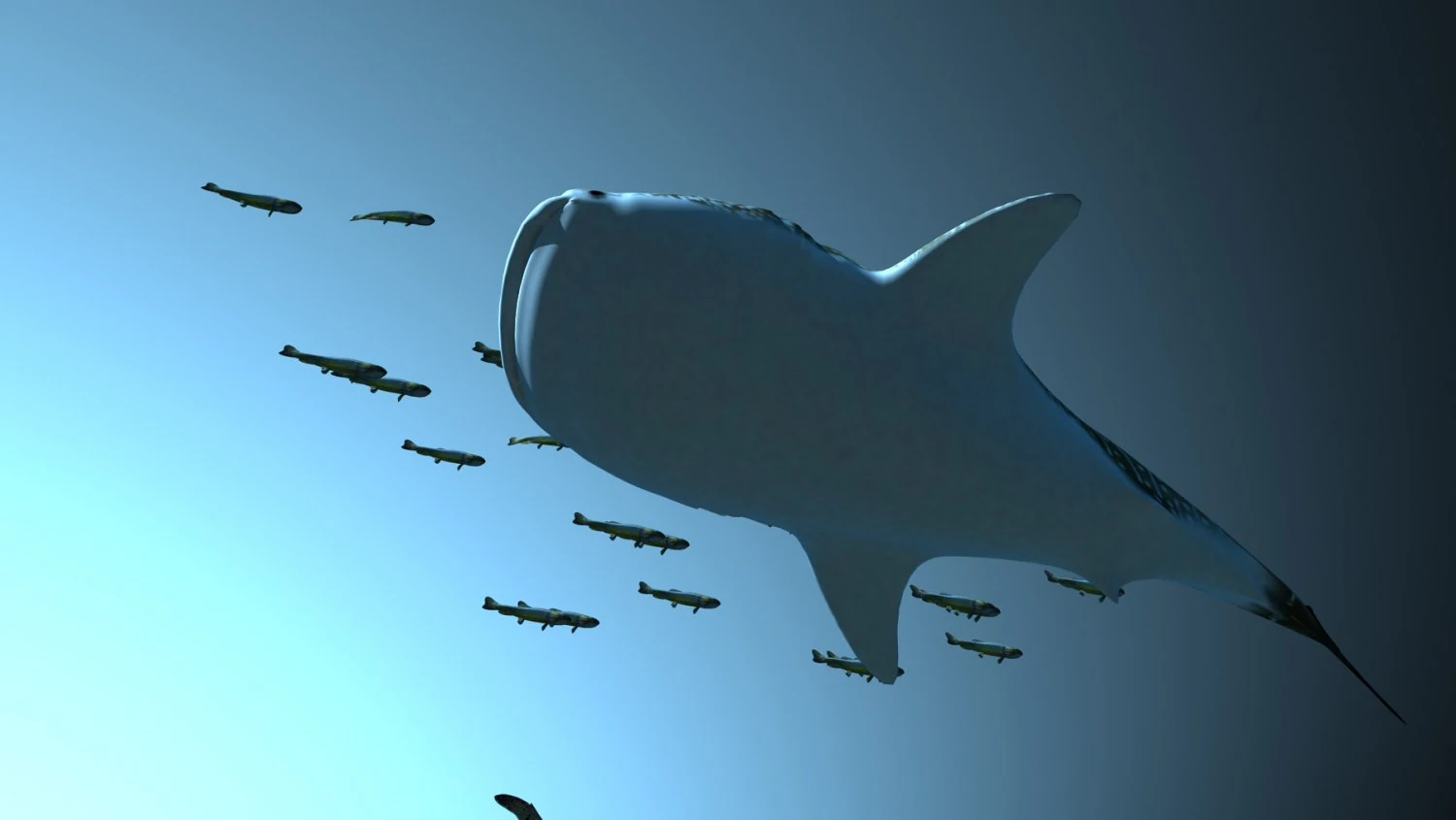 Seabed 3D Model .c4d .max .obj .3ds .fbx .stl .blend 