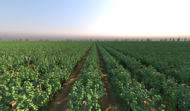 Vineyard 3Dモデル .c4d .max .obj .3ds .fbx .stl .blend 