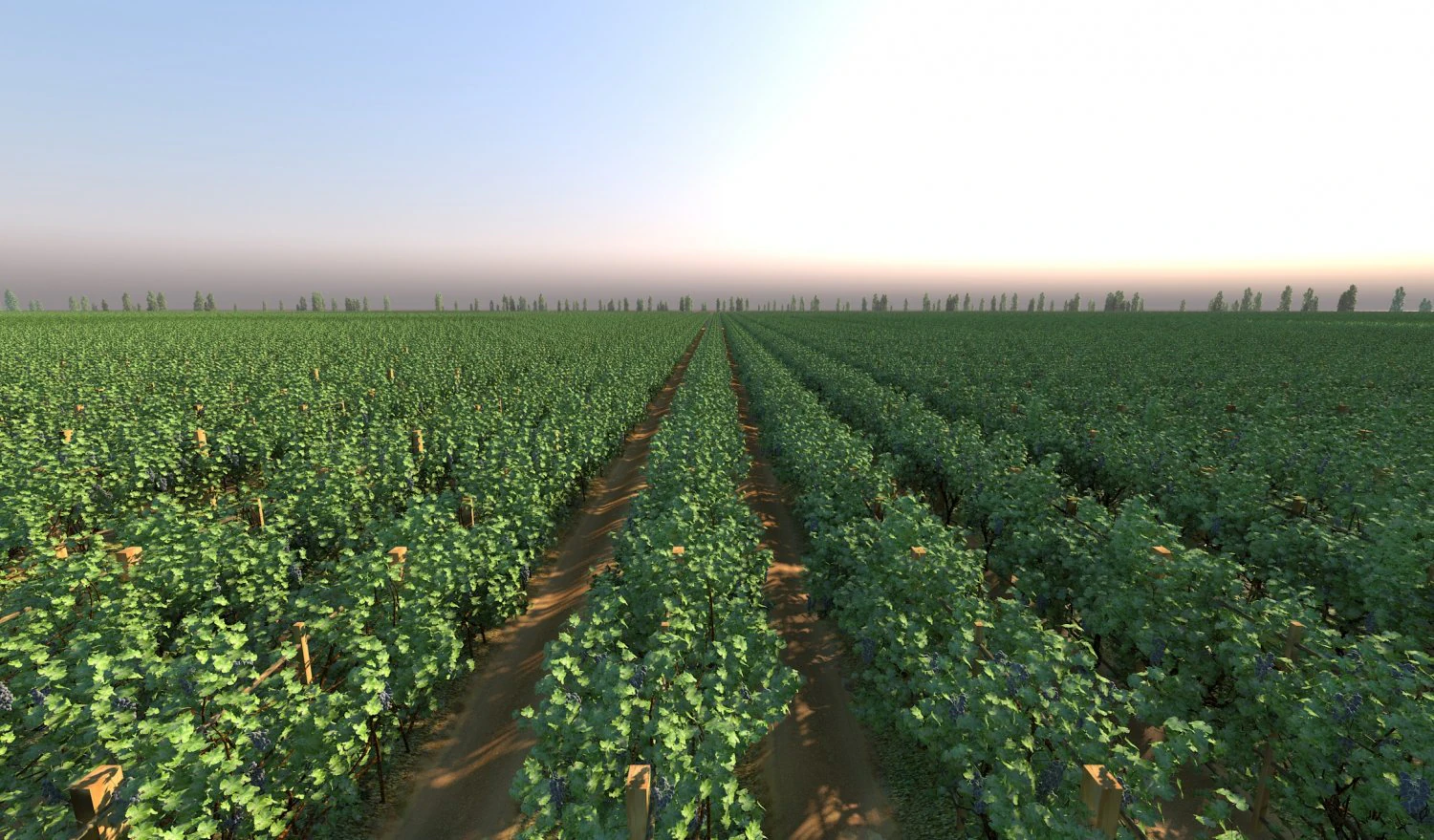 Vineyard 3D Model .c4d .max .obj .3ds .fbx .stl .blend