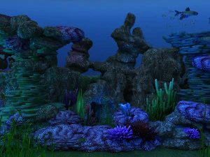 Fundo do mar Modelo 3D