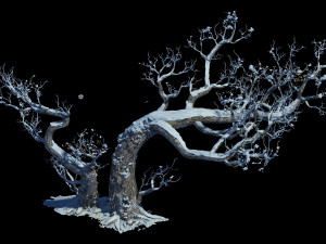 Dead tree Modelo 3D