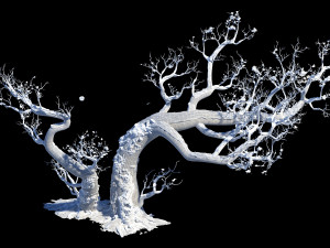 Dead tree Modelo 3D