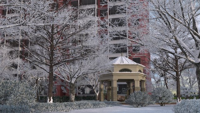 Snow scene 3D Model .c4d .max .obj .3ds .fbx .stl .blend 