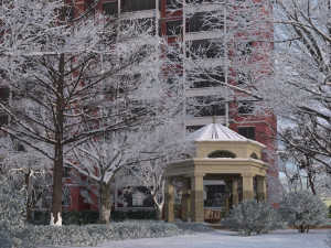 Snow scene 3D Model